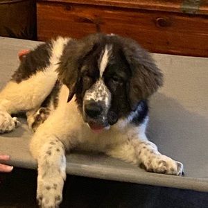 Meet your Posher, Courtney